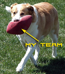 dogfootball.jpg
