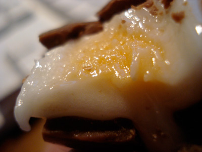 cadbury-bite-closeup-2