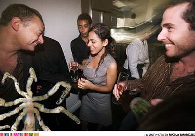 spider-gawker