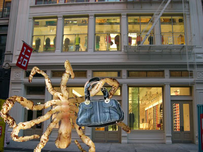 spider-soho
