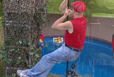 CBS_BIG_BROTHER_1019_CONTENT_CIAN_20080824164030.jpg