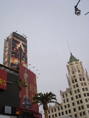 DSC08453.jpg