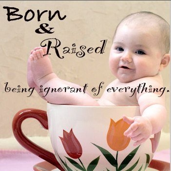 3-9-2009-facebook-meme-15.jpg