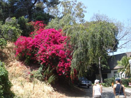 hike-day-03.jpg