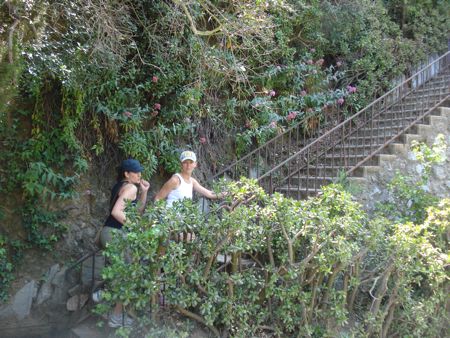 hike-day-05.jpg