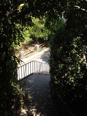 hike-day-08.jpg