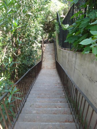 hike-day-11.jpg