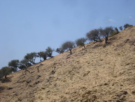 hike-day-24.jpg