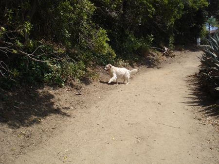 hike-day-27.jpg