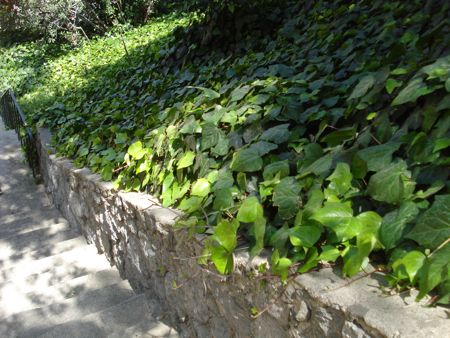 hike-day-40.jpg