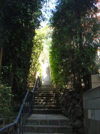 hike-day-59.jpg