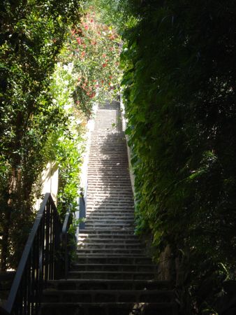 hike-day-60.jpg