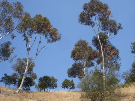 hike-day-67.jpg
