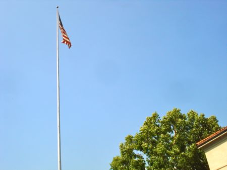 DSC06513.jpg