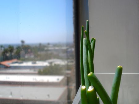 DSC06680.jpg