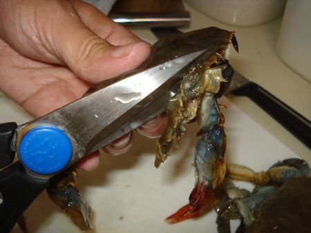 DSC06829.jpg