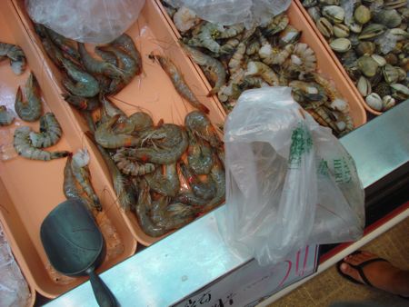 DSC07485.jpg