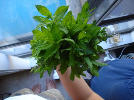 DSC07494.jpg