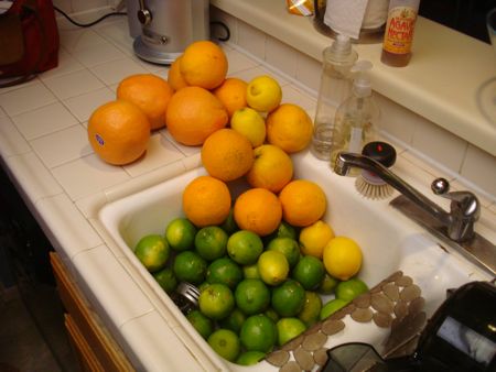 DSC07501.jpg