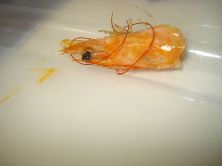 DSC07584.jpg