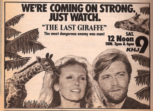 the-last-giraffe.jpg