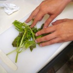 ADVENTURES IN DOMESTICITY:  Basil Margarita Edition