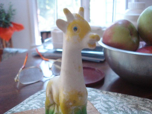 DSC00060.JPG