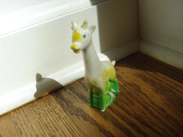 DSC00062.jpg
