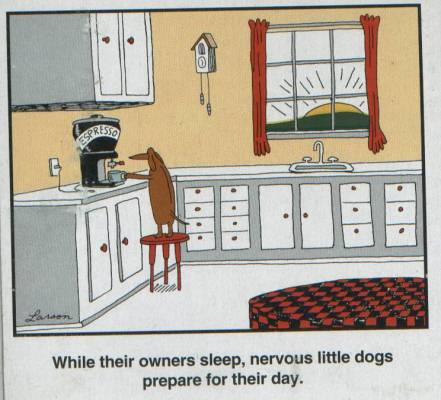 Far Side Comics