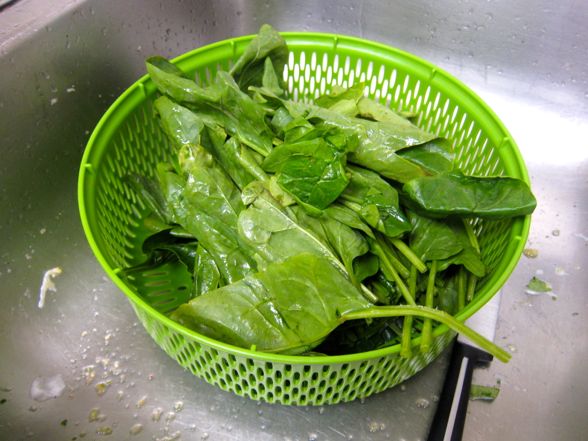 enchiladas-17.jpg