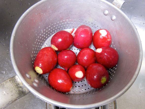 chickpeas-06.jpg